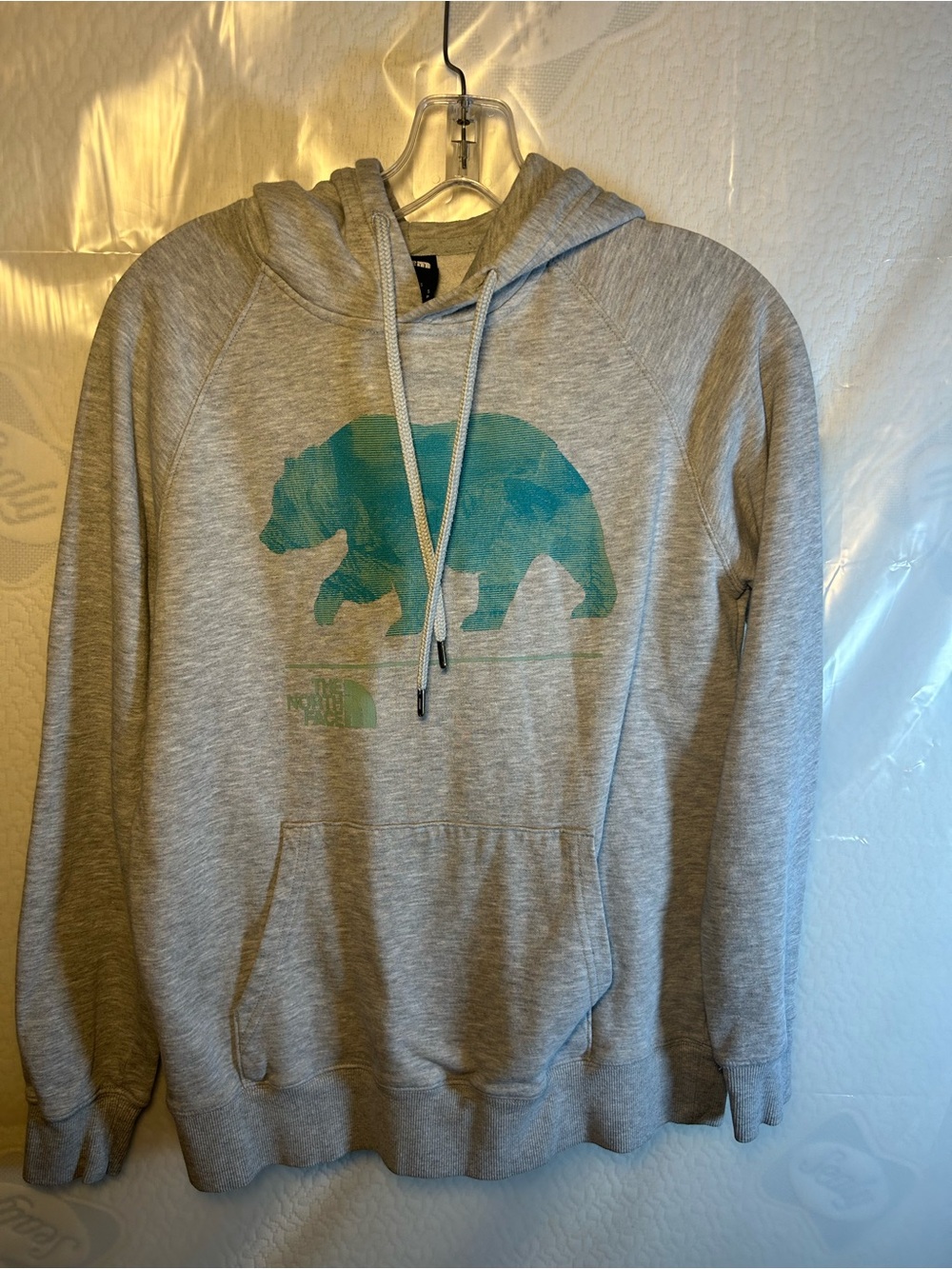The North Face Heather Gray Hoodie with Teal Bear Graphic